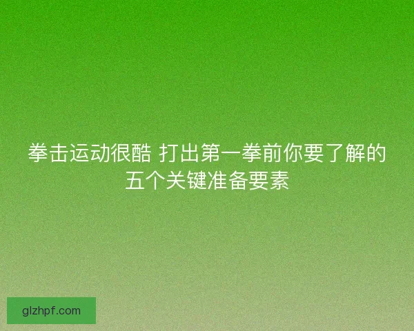 拳击运动很酷 打出第一拳前你要了解的五个关键准备要素